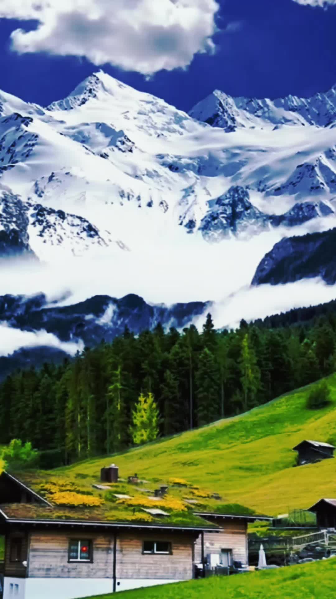 @lcdlf_vip247