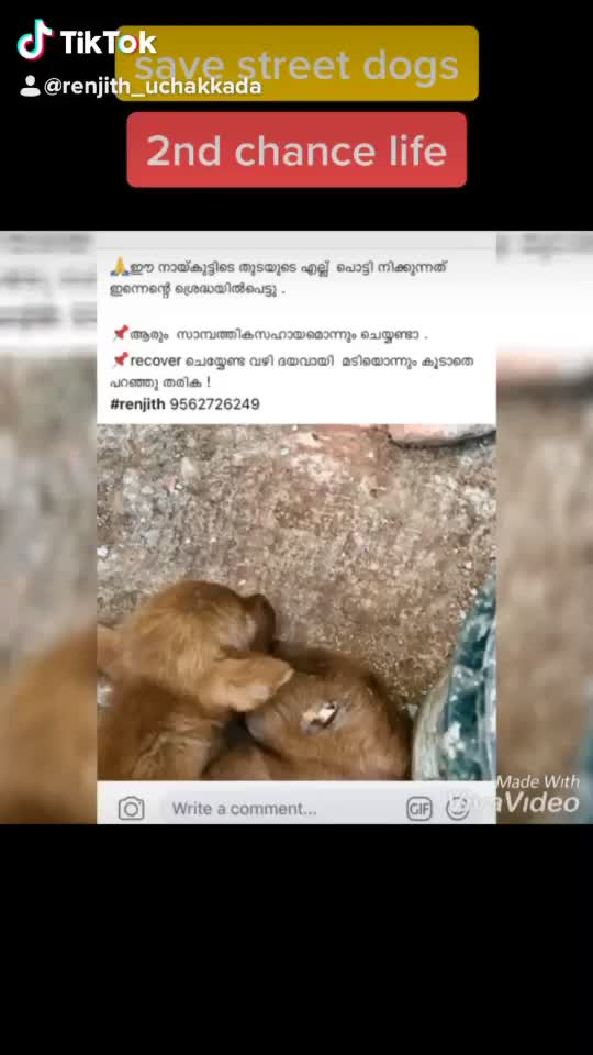 @user72354251475