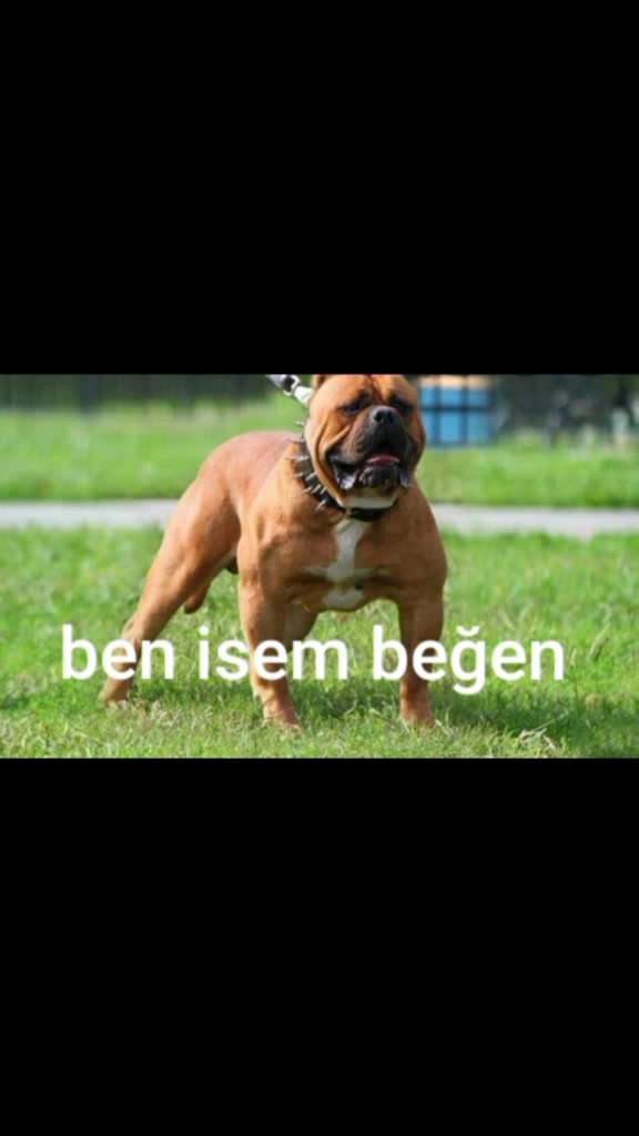 @İREM
