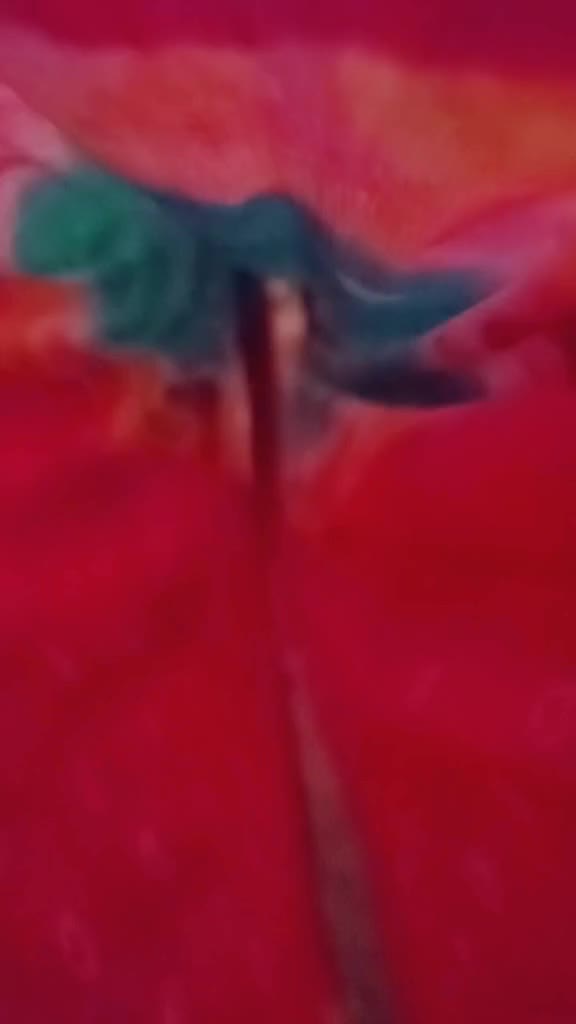 @vandanav2000