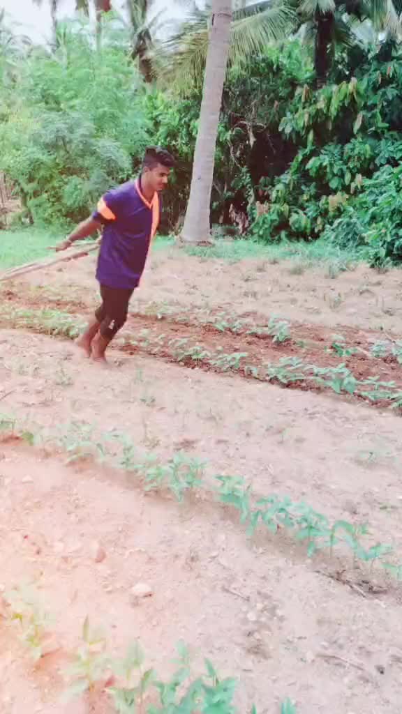 @Sacchu S Gowda