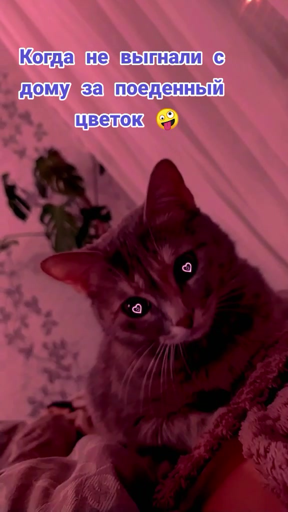 @Натали Котикова