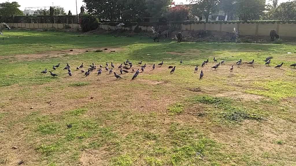 @Unnati Patel