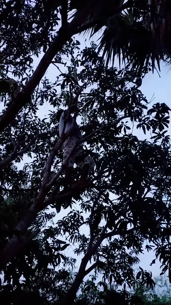 @SivakalaDharman