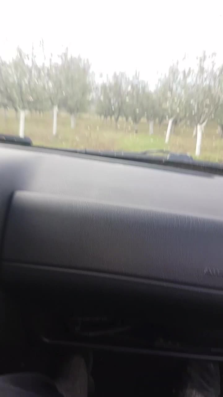 @Nikola9080