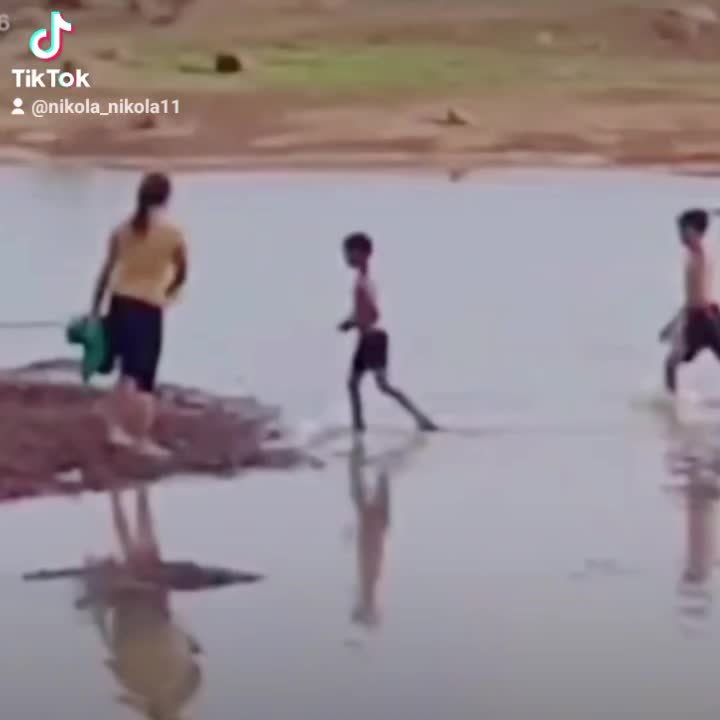 @Nikola9080