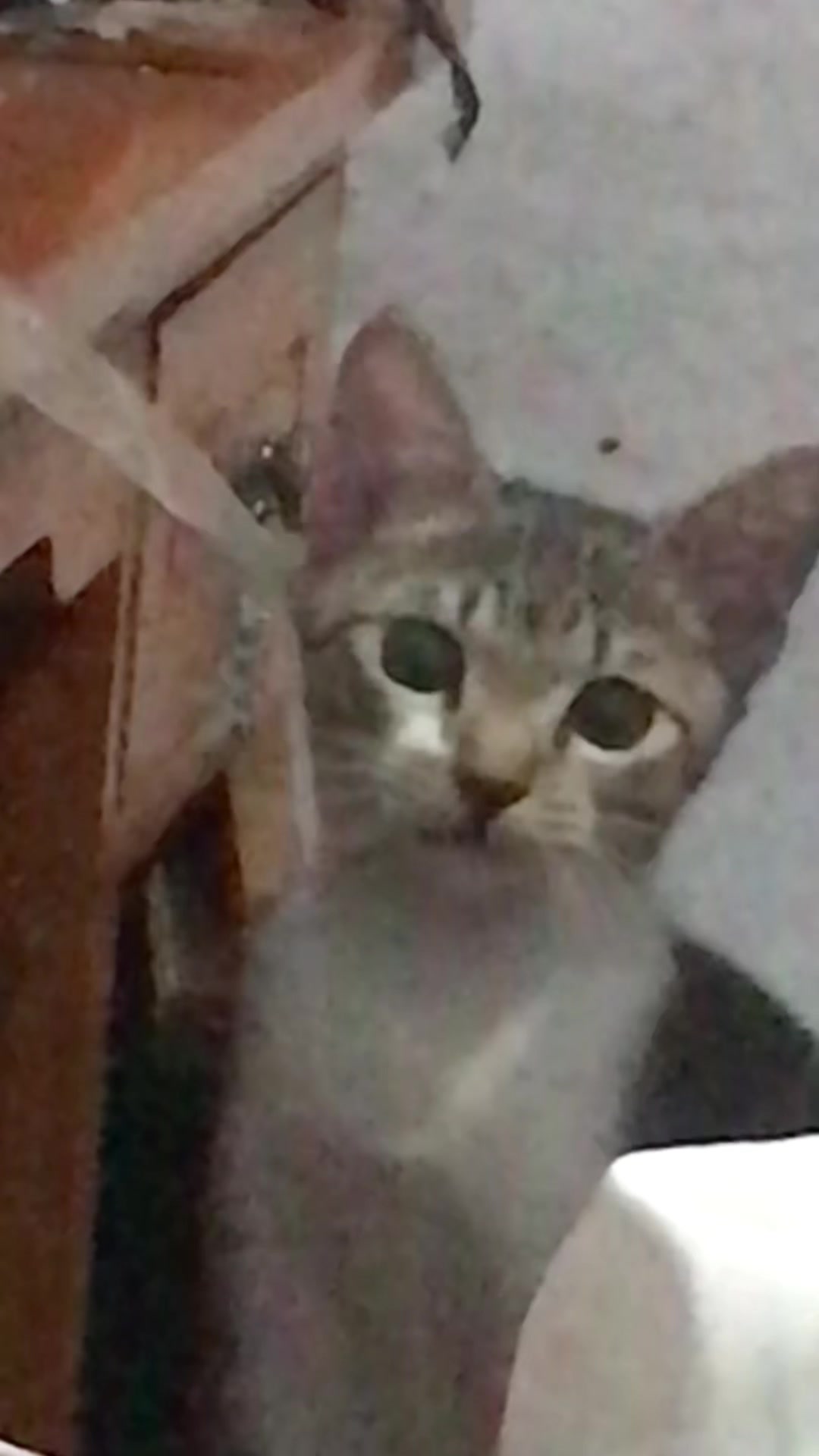 @three_muscateers