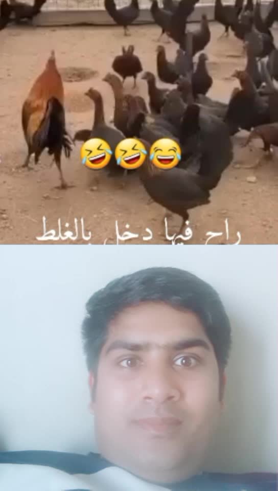 @user3518618894525