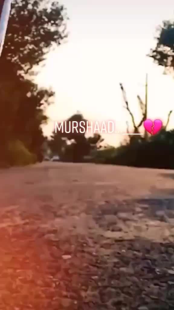 @user61146020989