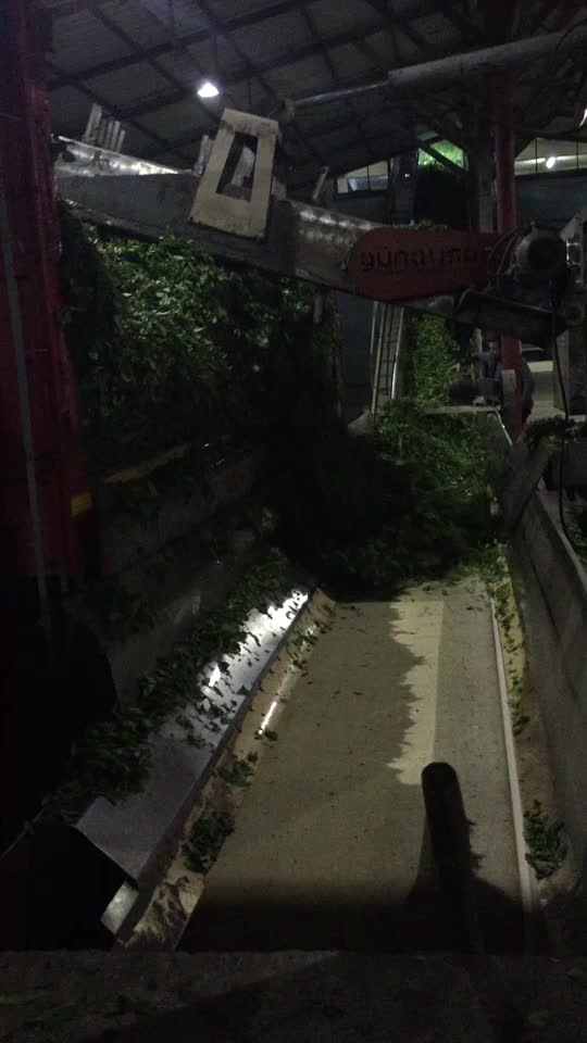 @Ünal Bağdaş