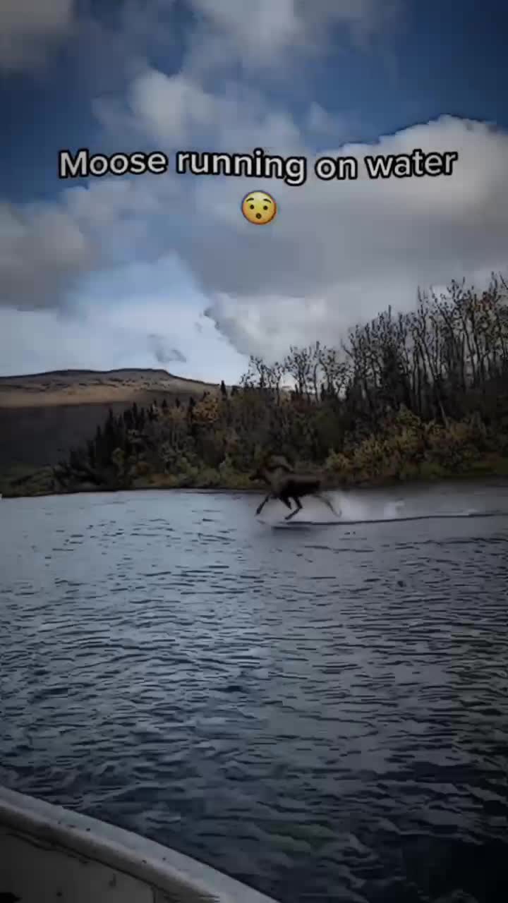 @Stevz08