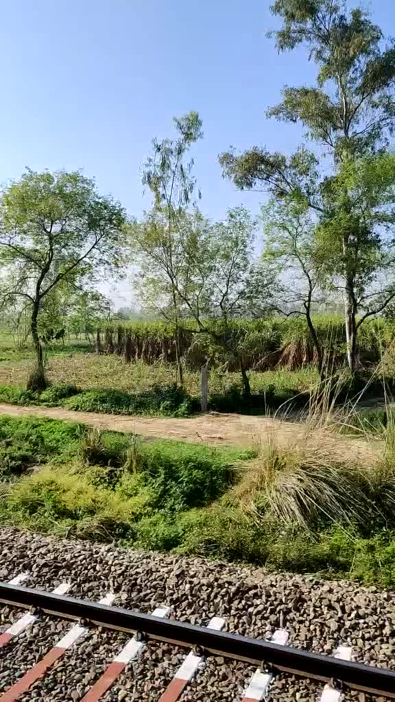 @Tanuj Tj