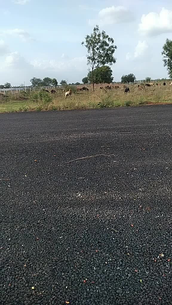 @a. shivakumaranna