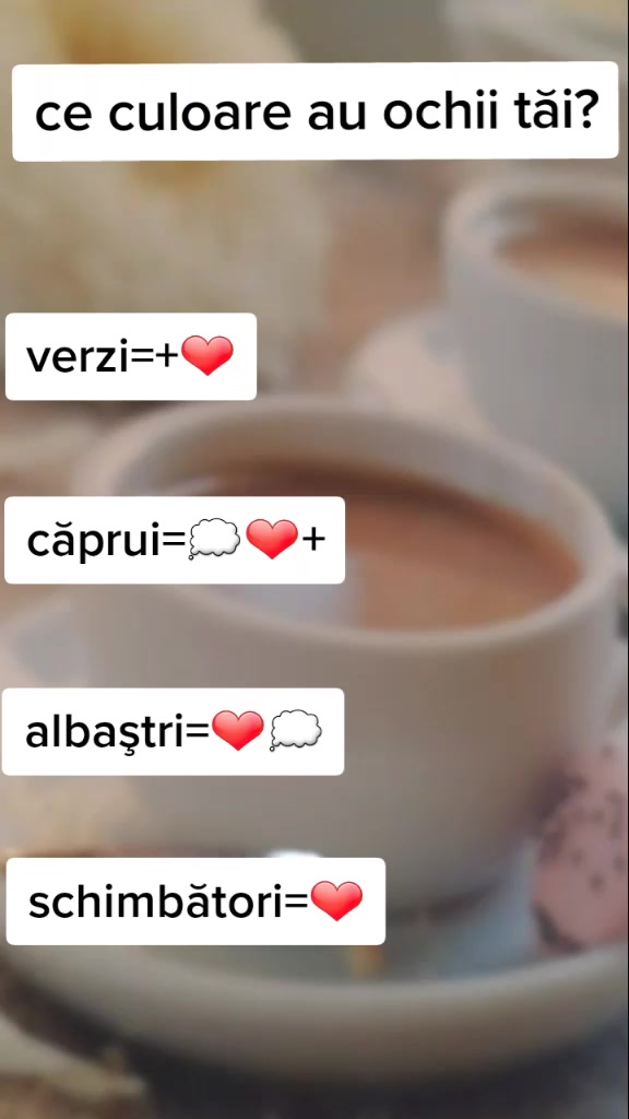 @Delia Ilea