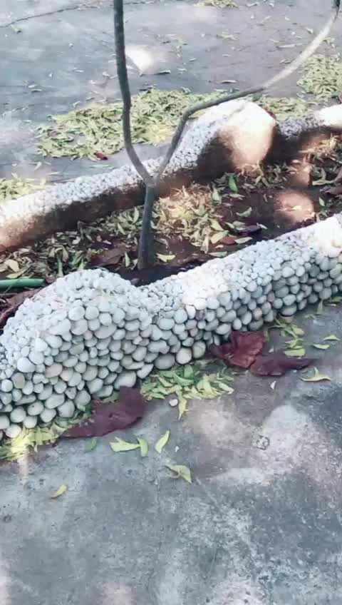 @gautam_ahir_7