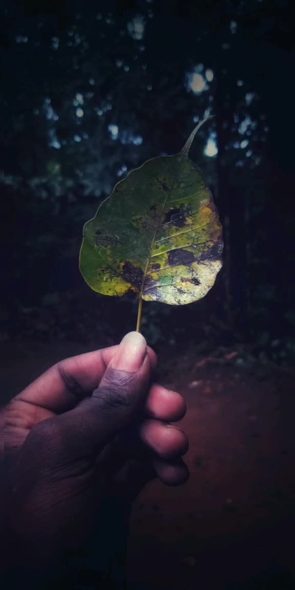 @Adarsh.k