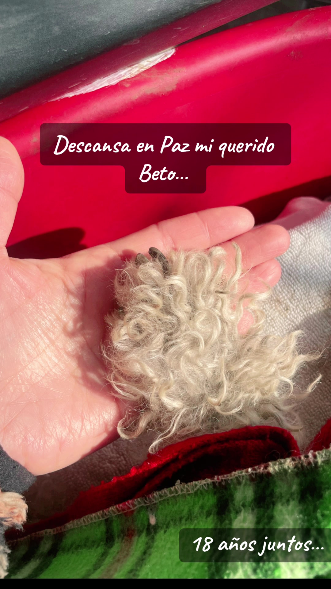 @tefydroguett
