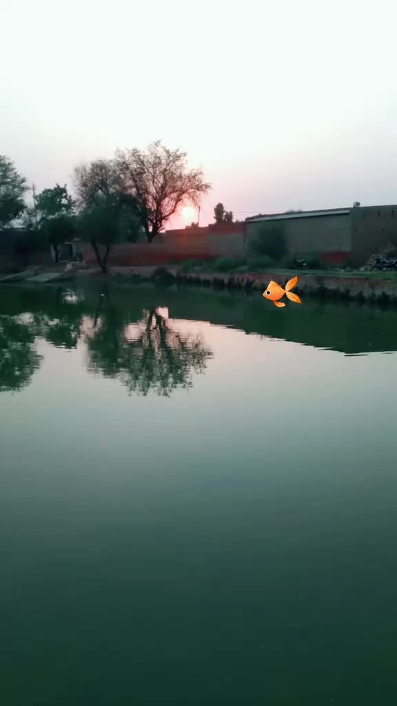 @Satveer Singh