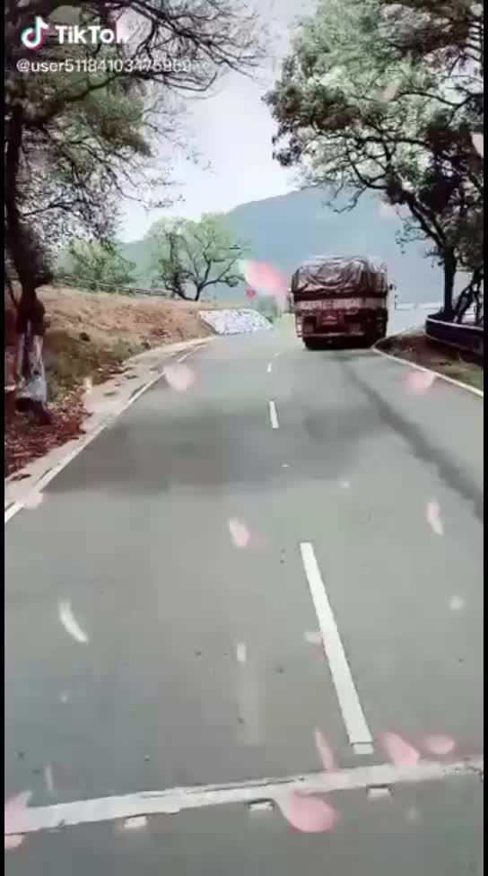 @user79203456893