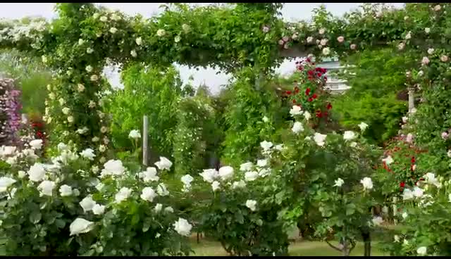 @Latha P