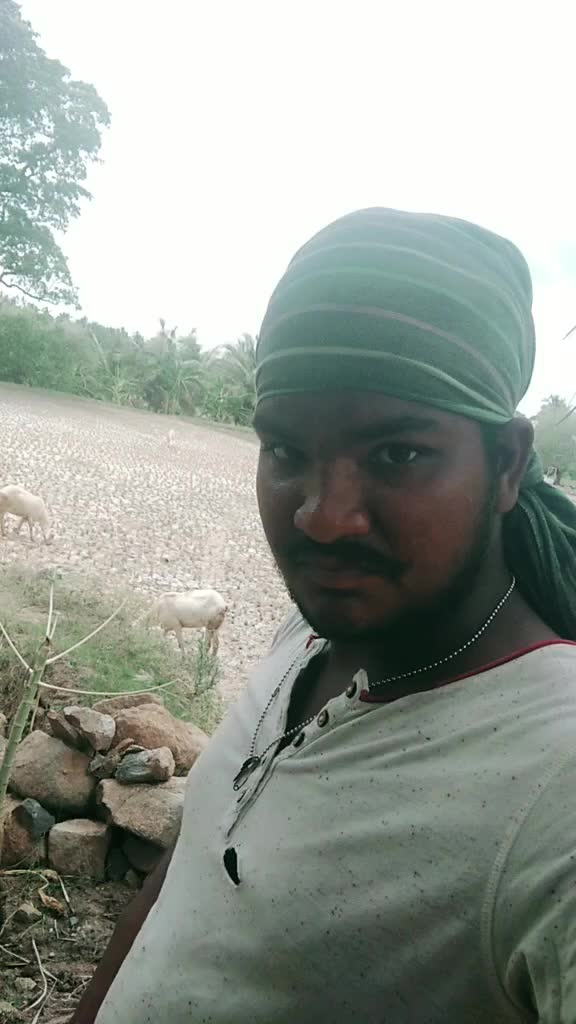@style's tamilan