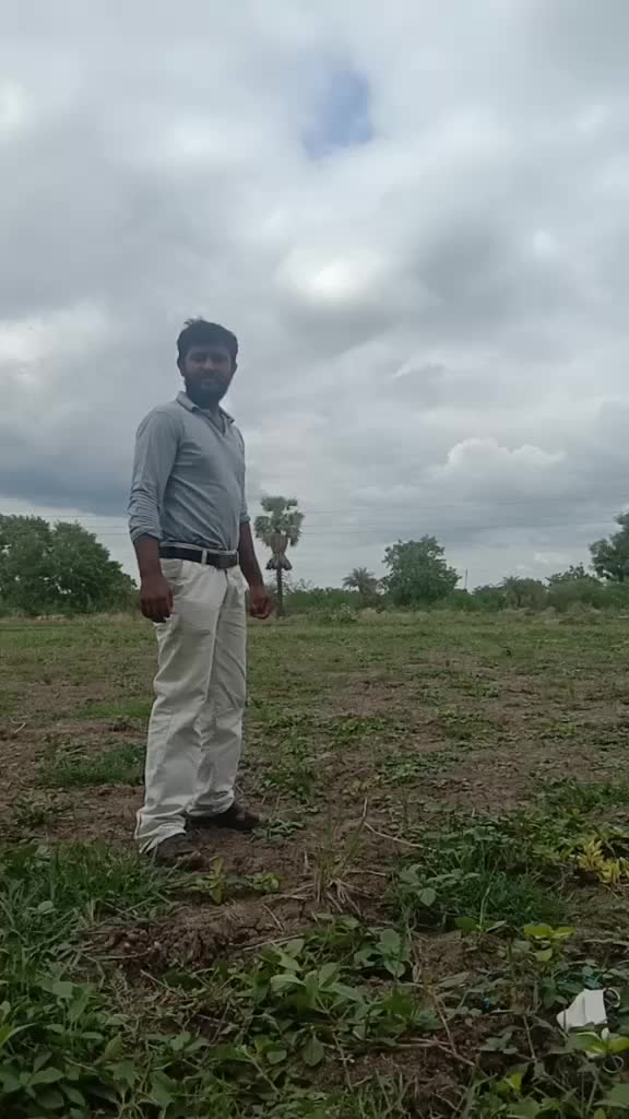 @user36839384401