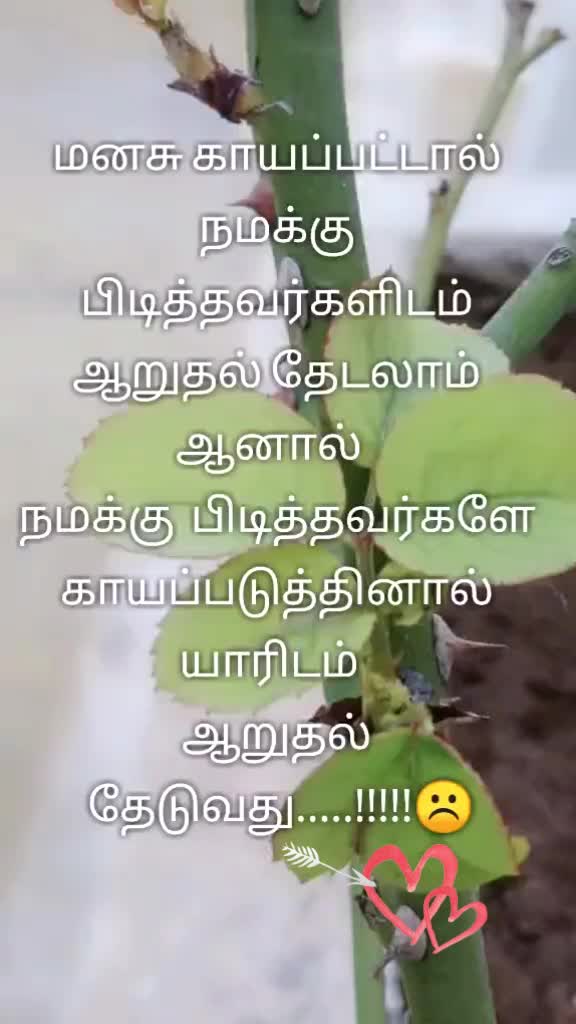 @Meenukutti 10