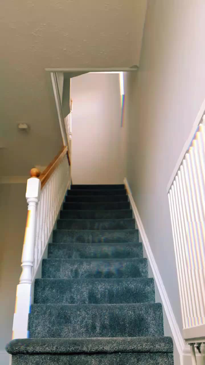 @Kittypantherlion100