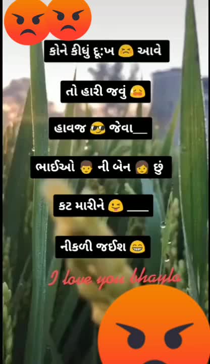 @gandi_gir_ni_sihan