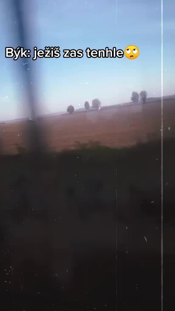 @ok:)