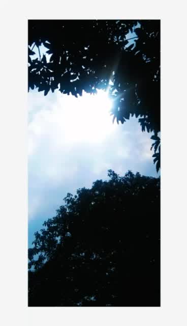 @Shamshin__ Fatima