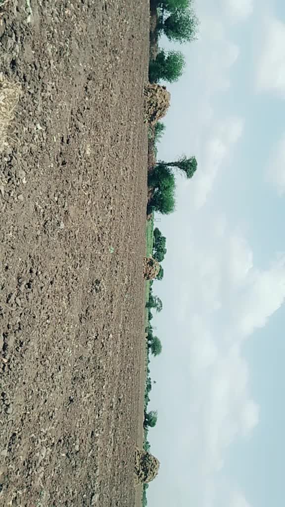 @Shailesh Kamariya377