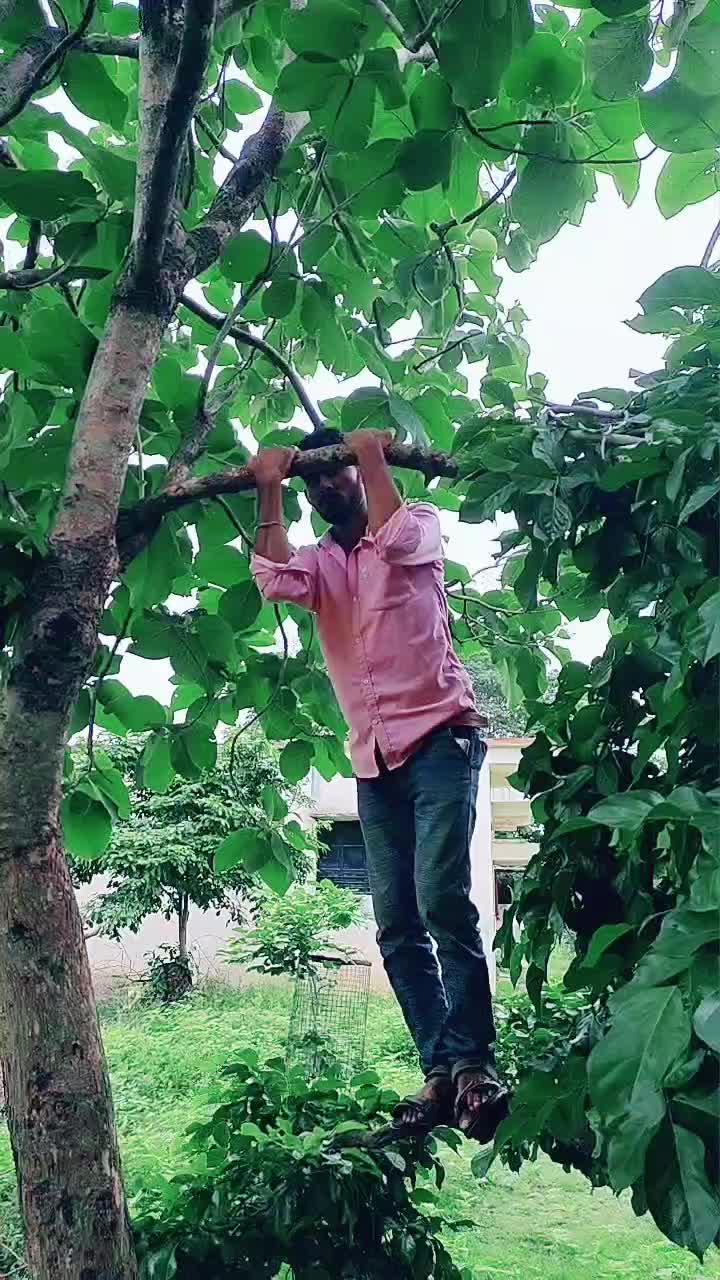 @j.p.mane143