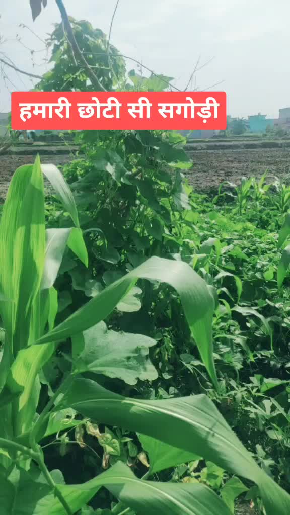 @Rakesh Negi