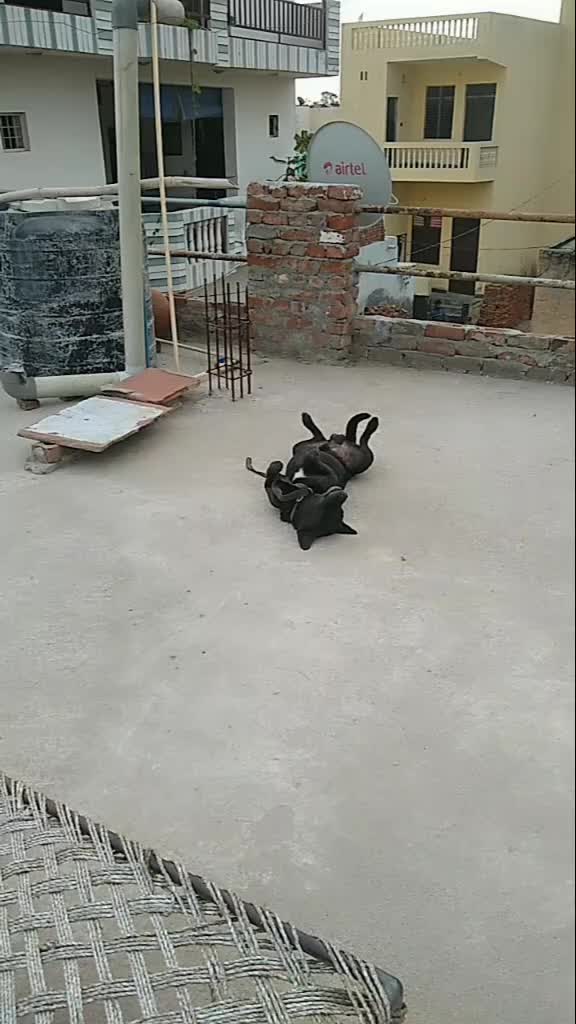 @Harsh jatavji 2312