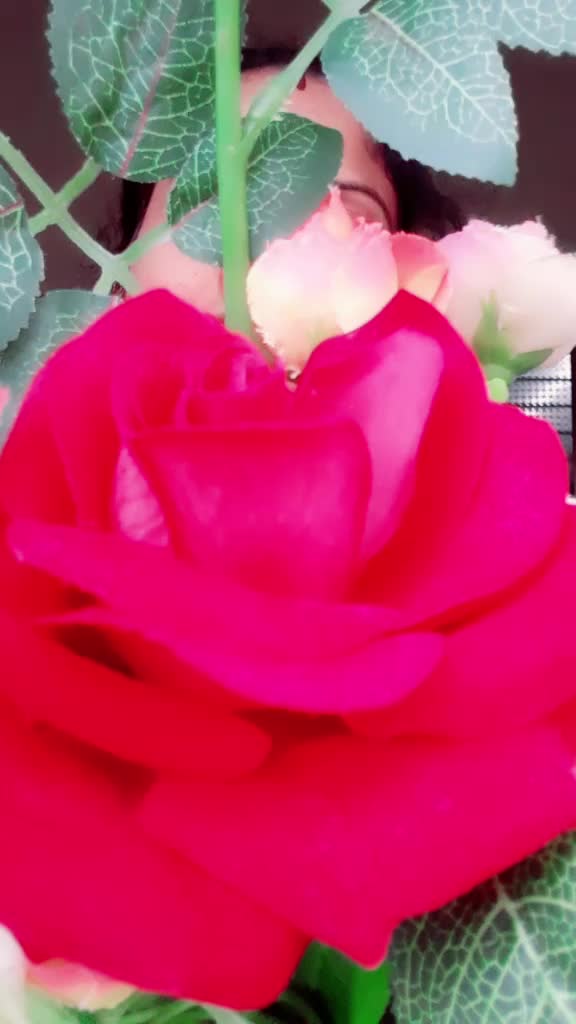 @user4226639115752