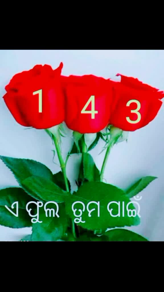 @user9362402791952