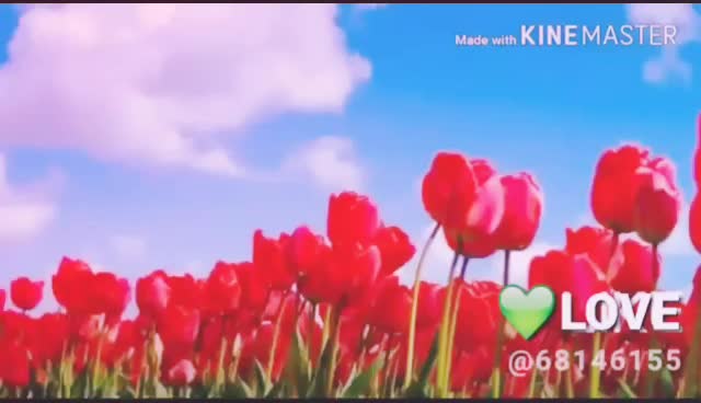 @user37808352062