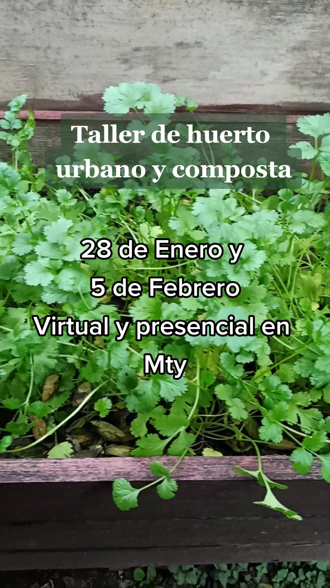 @Local Garden Mty