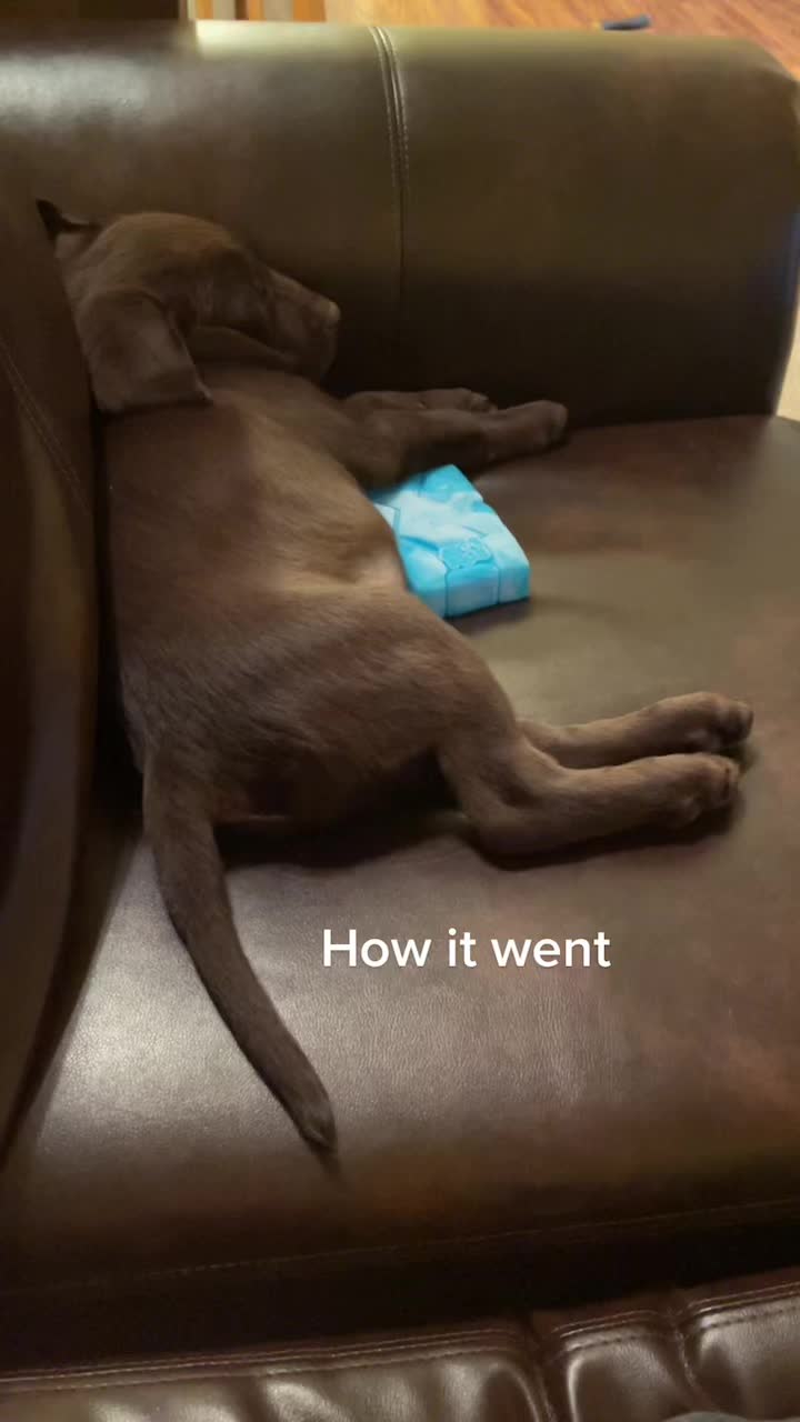 @Arrow_and_Korra