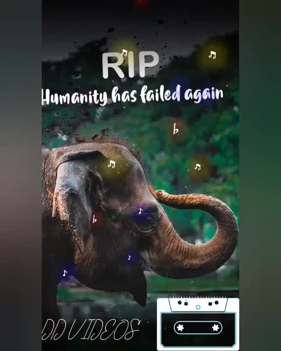 @kàsìd sáífí