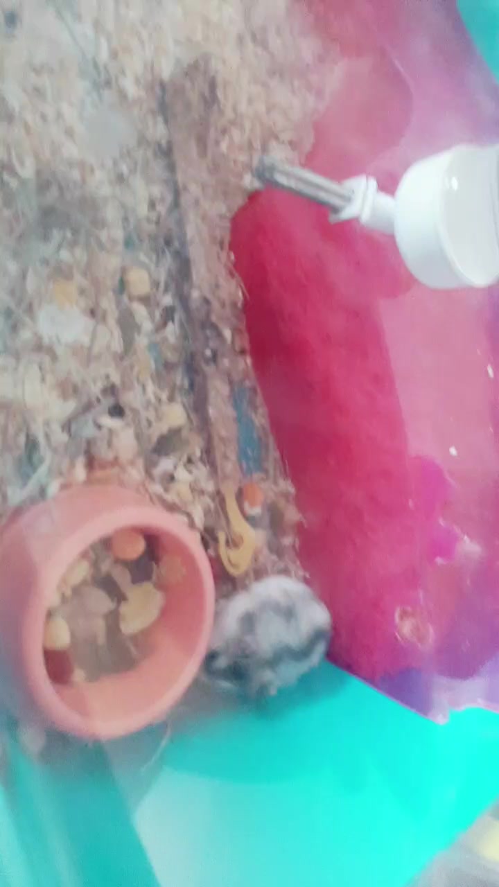 @🖐🏻