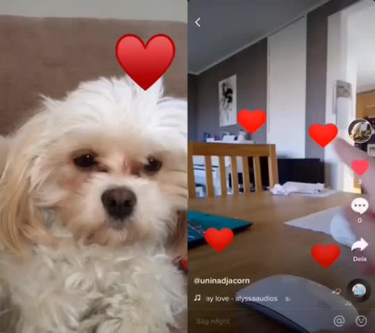 @hubertus.forsberg