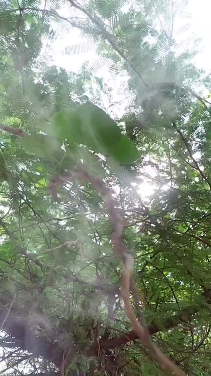 @monika.lov.evineet
