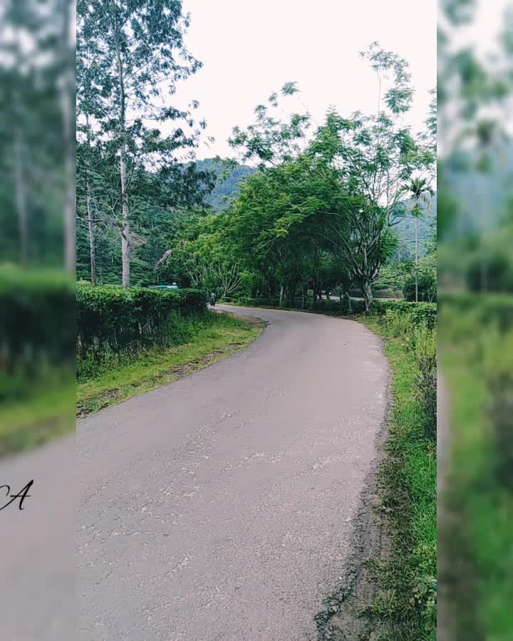 @Alan Jo