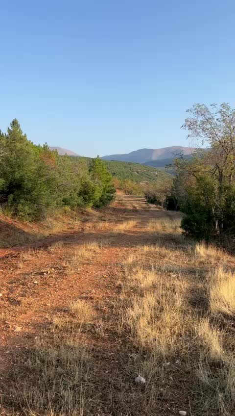 @Kemal Bakır