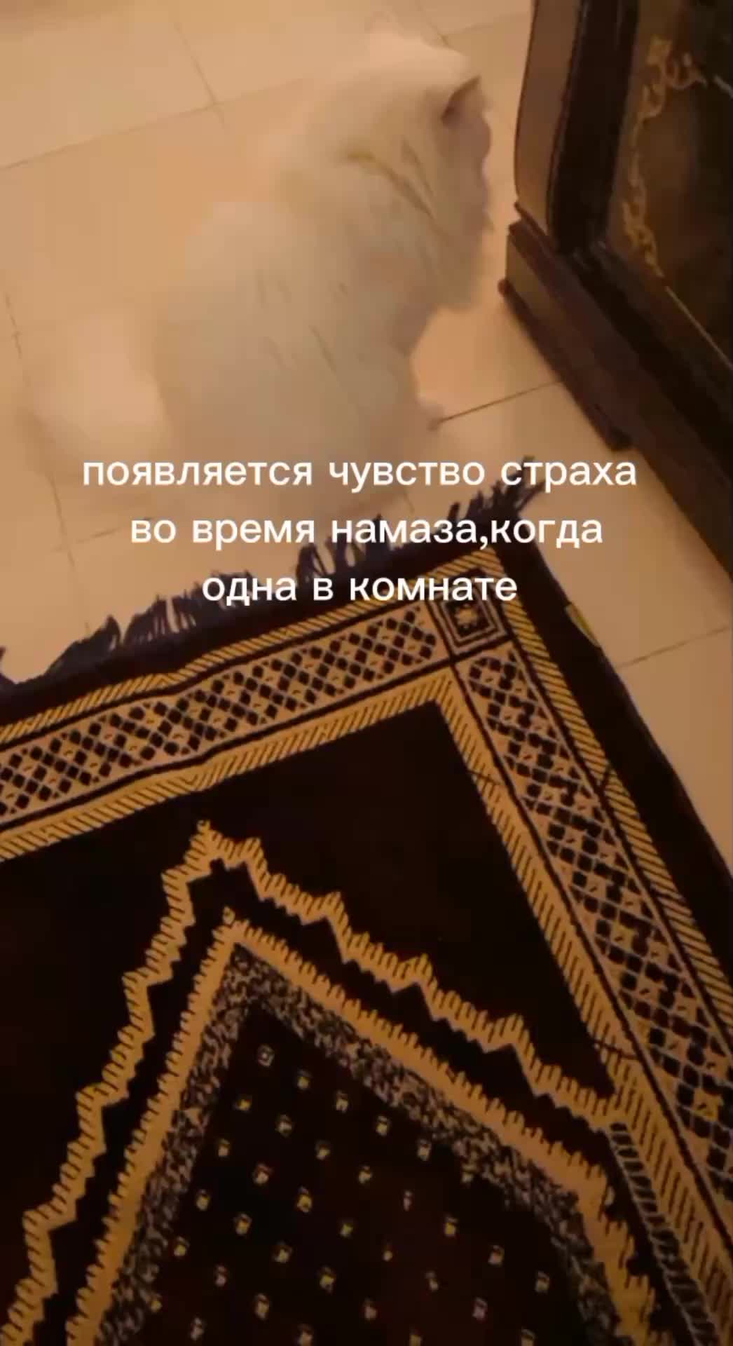 @🌙🤍