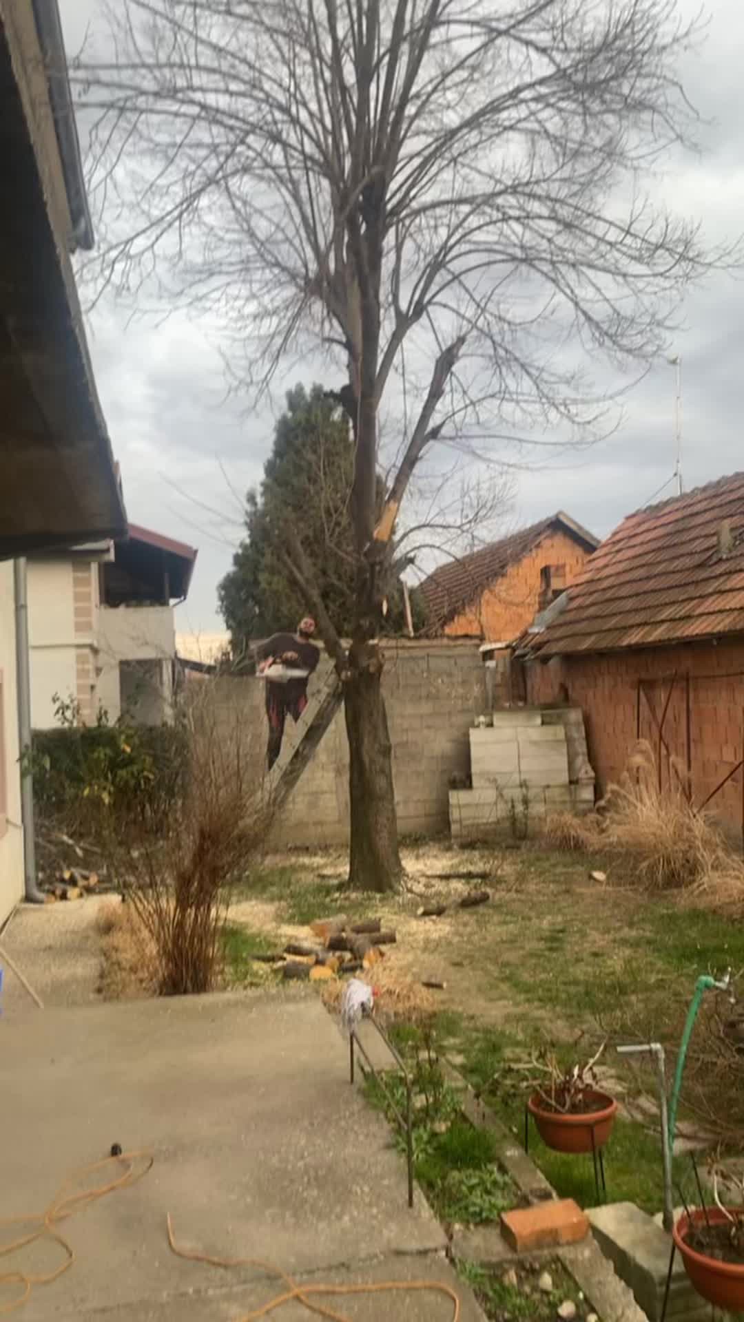 @Fabijan