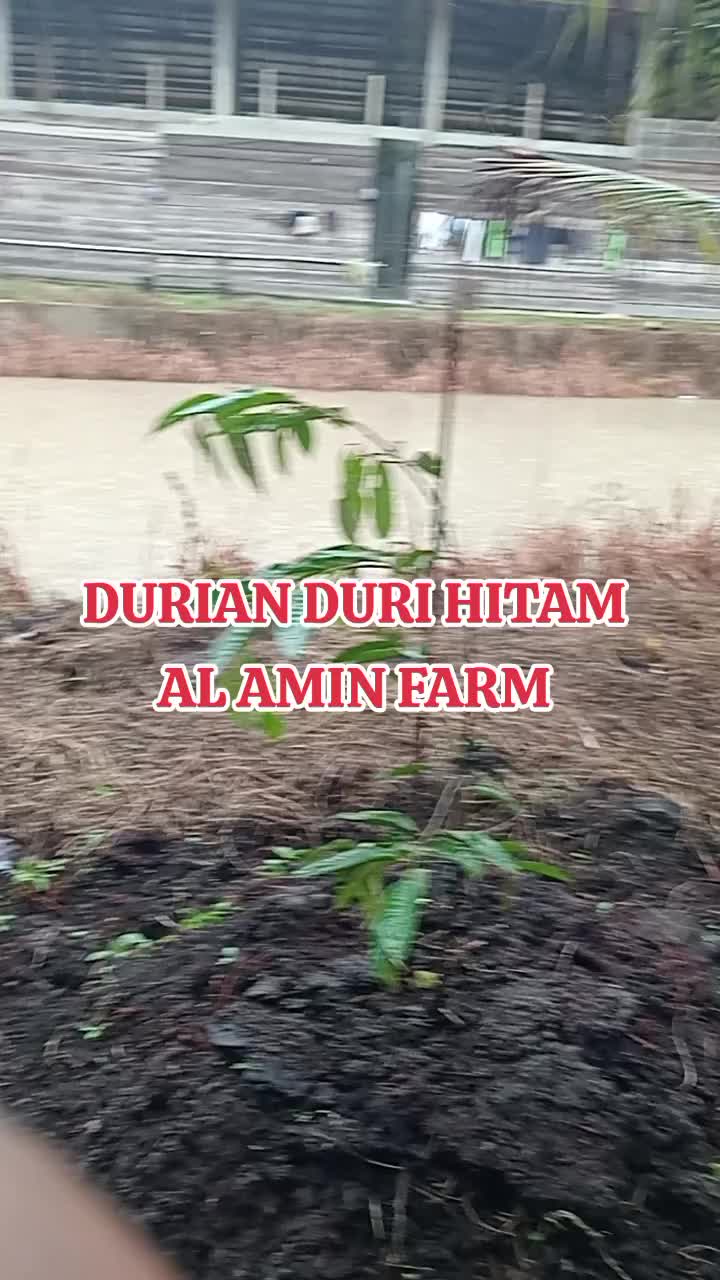 @PEJUANG keluarga ❤️