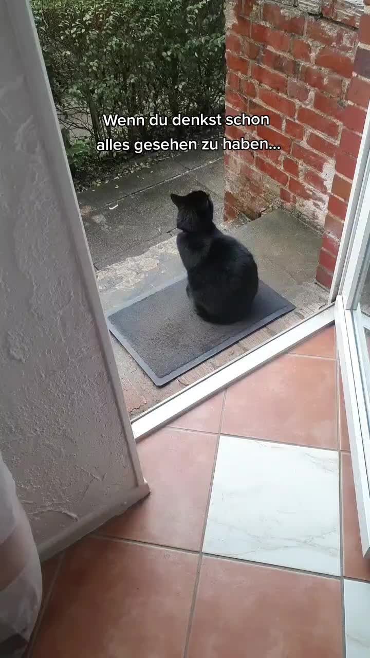 @Jenny Voß®️